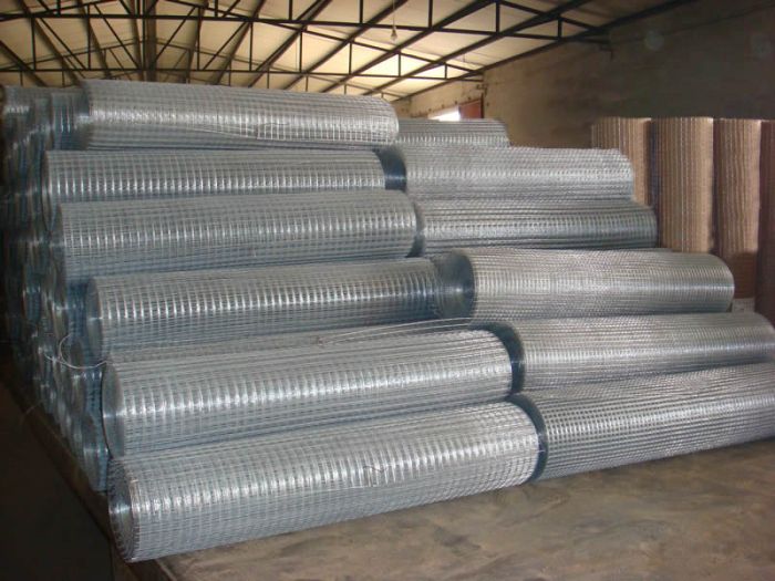 عکس توری مش رولی.